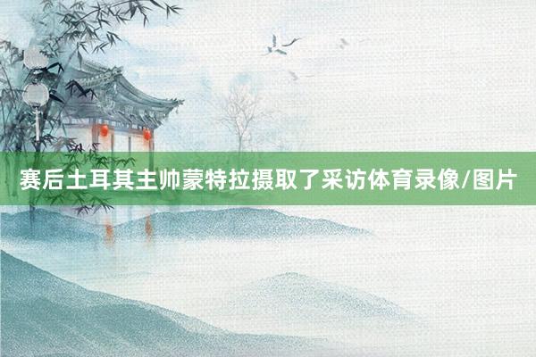 赛后土耳其主帅蒙特拉摄取了采访体育录像/图片