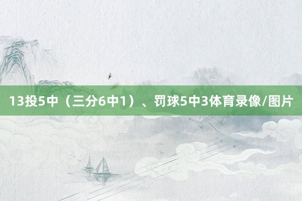 13投5中（三分6中1）、罚球5中3体育录像/图片
