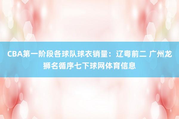 CBA第一阶段各球队球衣销量：辽粤前二 广州龙狮名循序七下球网体育信息