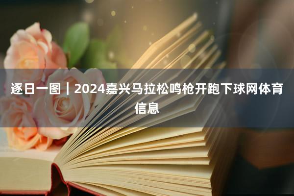 逐日一图｜2024嘉兴马拉松鸣枪开跑下球网体育信息