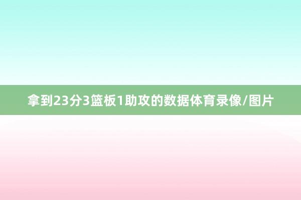 拿到23分3篮板1助攻的数据体育录像/图片