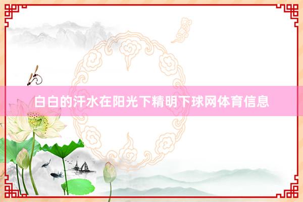白白的汗水在阳光下精明下球网体育信息