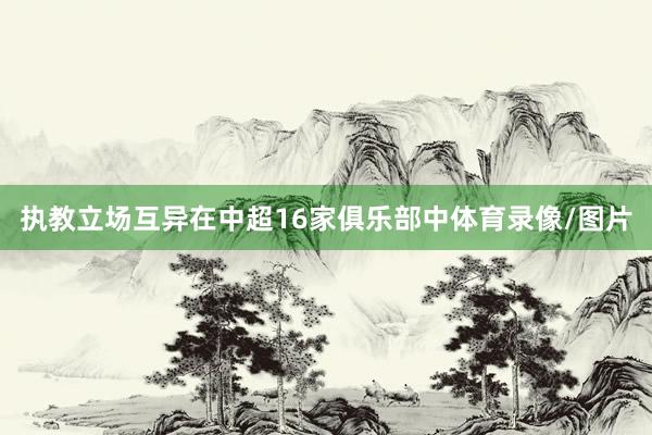 执教立场互异在中超16家俱乐部中体育录像/图片