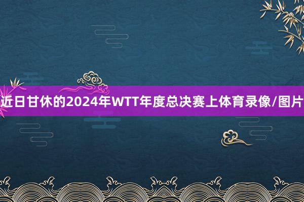 近日甘休的2024年WTT年度总决赛上体育录像/图片