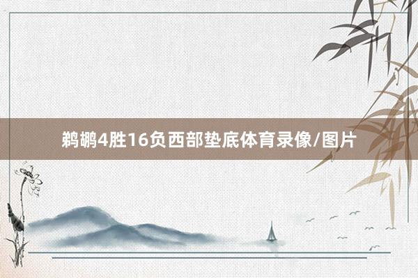鹈鹕4胜16负西部垫底体育录像/图片