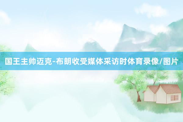 国王主帅迈克-布朗收受媒体采访时体育录像/图片