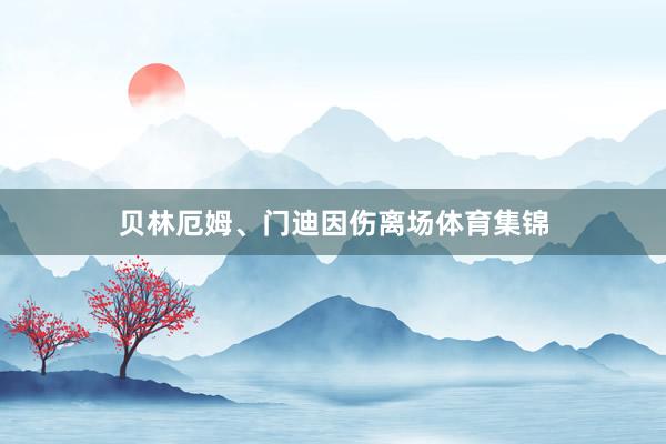 贝林厄姆、门迪因伤离场体育集锦