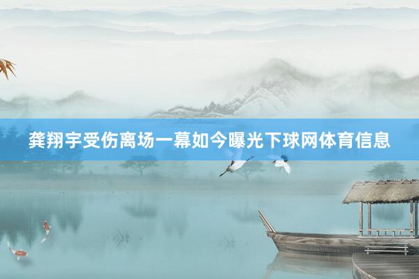 龚翔宇受伤离场一幕如今曝光下球网体育信息