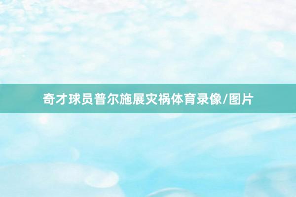 奇才球员普尔施展灾祸体育录像/图片