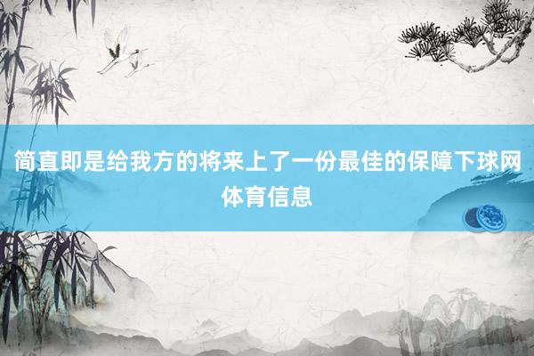 简直即是给我方的将来上了一份最佳的保障下球网体育信息