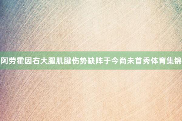 阿劳霍因右大腿肌腱伤势缺阵于今尚未首秀体育集锦