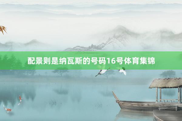 配景则是纳瓦斯的号码16号体育集锦