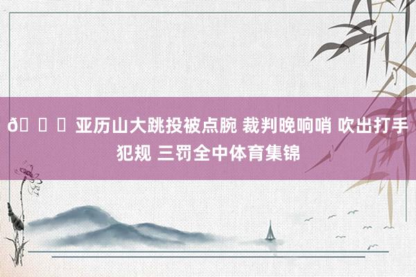 👀亚历山大跳投被点腕 裁判晚响哨 吹出打手犯规 三罚全中体育集锦