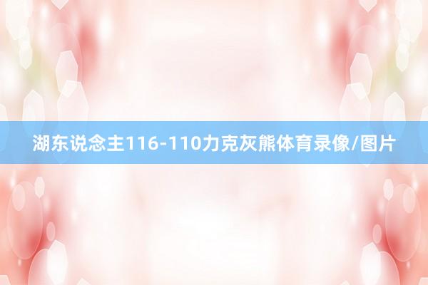 湖东说念主116-110力克灰熊体育录像/图片