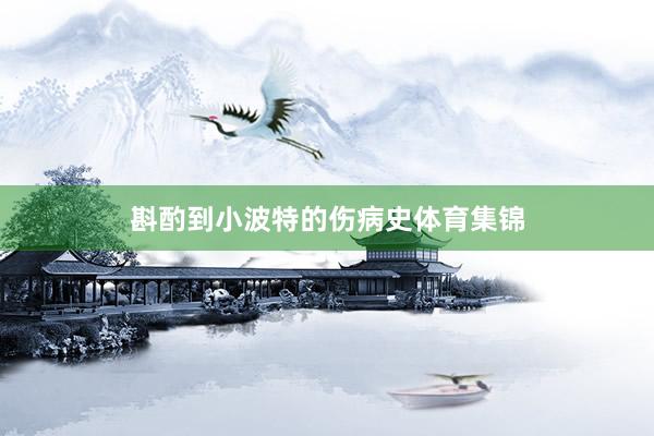 斟酌到小波特的伤病史体育集锦
