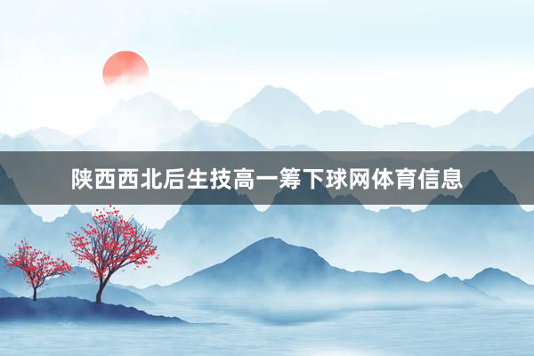 陕西西北后生技高一筹下球网体育信息