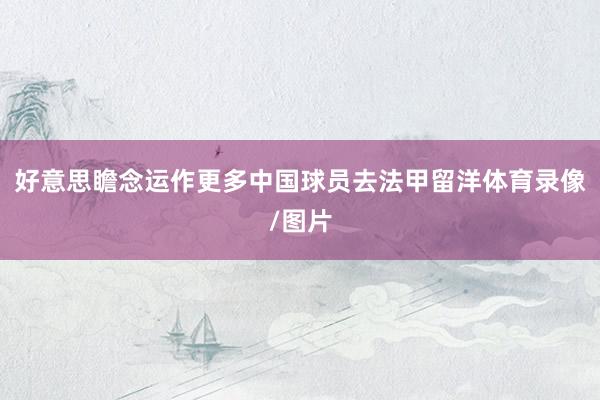 好意思瞻念运作更多中国球员去法甲留洋体育录像/图片