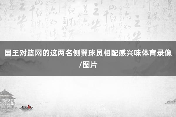 国王对篮网的这两名侧翼球员相配感兴味体育录像/图片