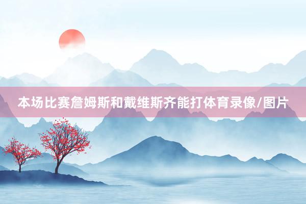 本场比赛詹姆斯和戴维斯齐能打体育录像/图片