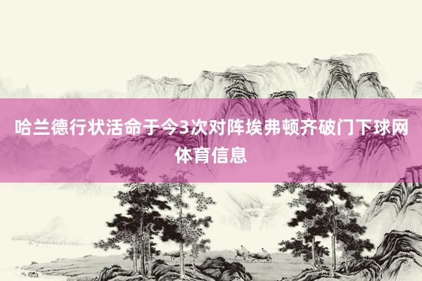 哈兰德行状活命于今3次对阵埃弗顿齐破门下球网体育信息