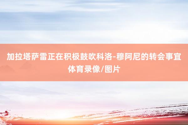 加拉塔萨雷正在积极鼓吹科洛-穆阿尼的转会事宜体育录像/图片
