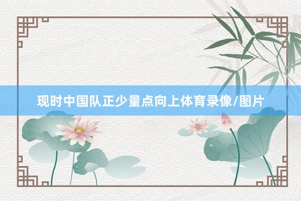 现时中国队正少量点向上体育录像/图片