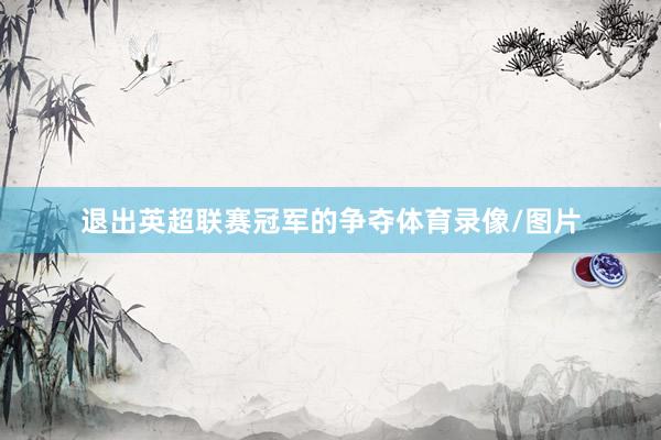 退出英超联赛冠军的争夺体育录像/图片