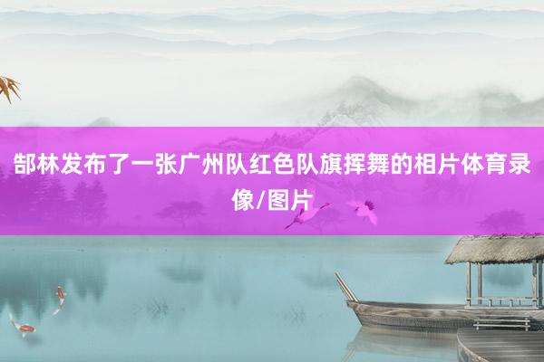 郜林发布了一张广州队红色队旗挥舞的相片体育录像/图片