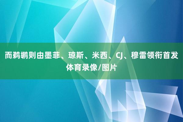 而鹈鹕则由墨菲、琼斯、米西、CJ、穆雷领衔首发体育录像/图片