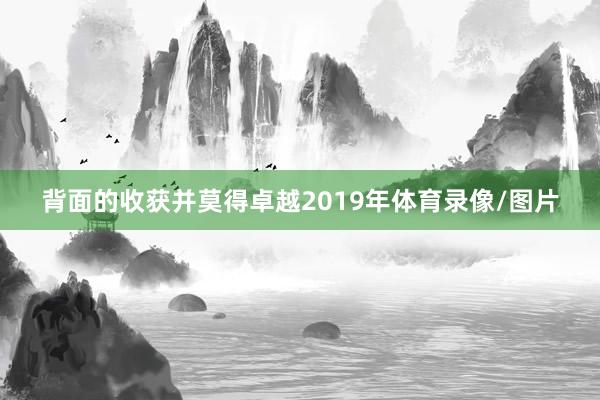 背面的收获并莫得卓越2019年体育录像/图片
