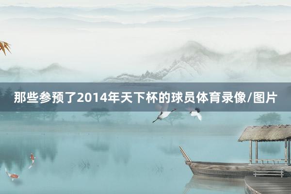 那些参预了2014年天下杯的球员体育录像/图片