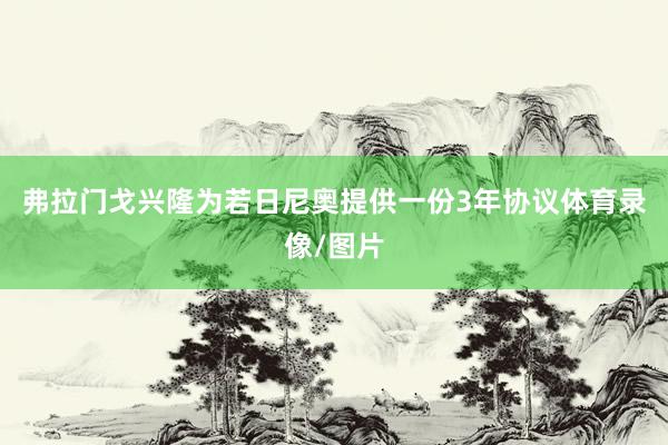 弗拉门戈兴隆为若日尼奥提供一份3年协议体育录像/图片