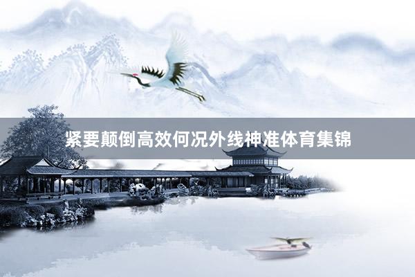 紧要颠倒高效何况外线神准体育集锦
