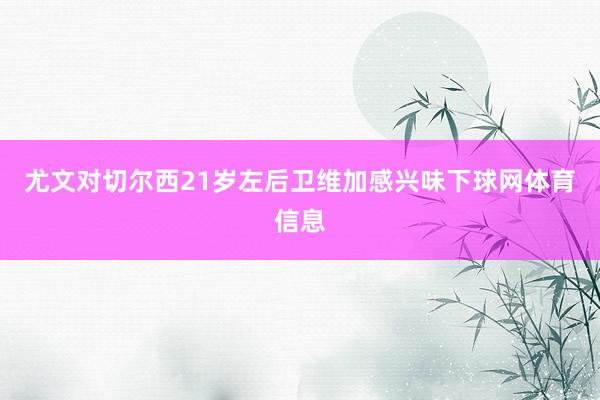 尤文对切尔西21岁左后卫维加感兴味下球网体育信息