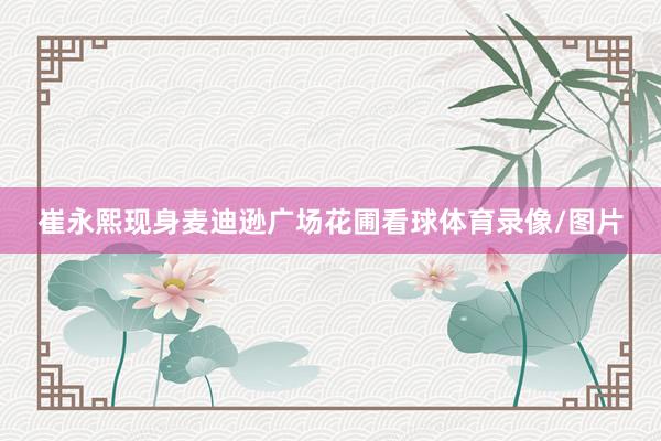 崔永熙现身麦迪逊广场花圃看球体育录像/图片