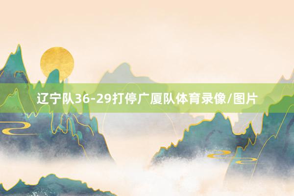 辽宁队36-29打停广厦队体育录像/图片