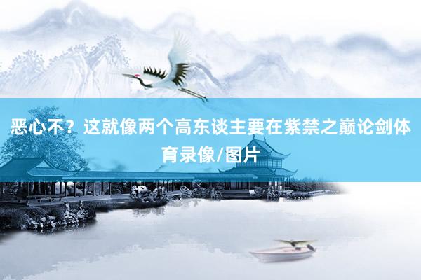 恶心不？这就像两个高东谈主要在紫禁之巅论剑体育录像/图片