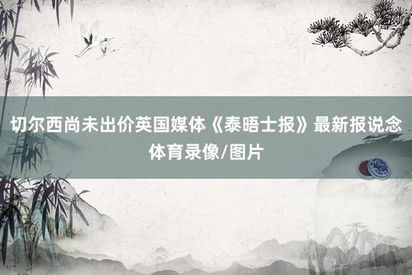 切尔西尚未出价英国媒体《泰晤士报》最新报说念体育录像/图片