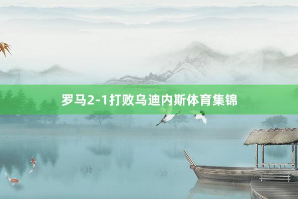 罗马2-1打败乌迪内斯体育集锦