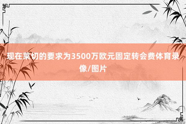 现在莱切的要求为3500万欧元固定转会费体育录像/图片