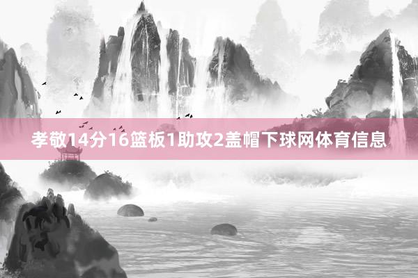 孝敬14分16篮板1助攻2盖帽下球网体育信息