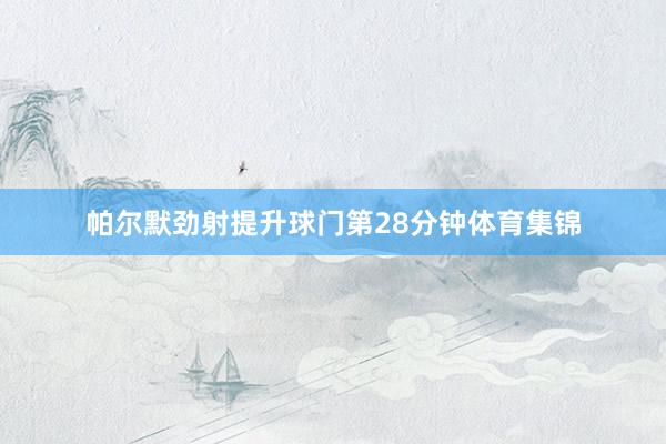 帕尔默劲射提升球门第28分钟体育集锦