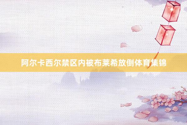 阿尔卡西尔禁区内被布莱希放倒体育集锦