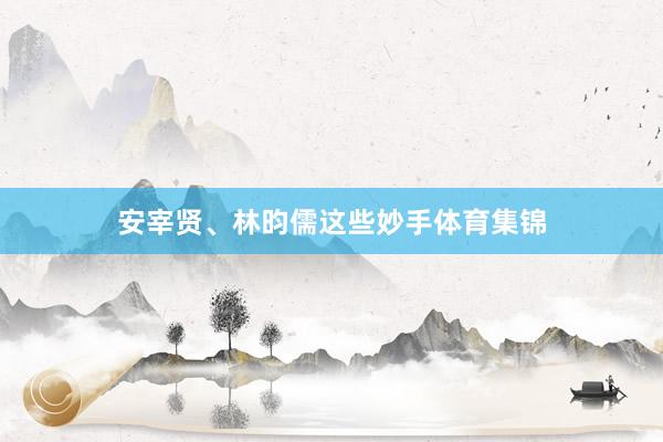 安宰贤、林昀儒这些妙手体育集锦