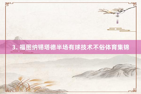 3. 福图纳锡塔德半场有球技术不俗体育集锦