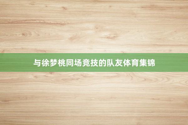 与徐梦桃同场竞技的队友体育集锦