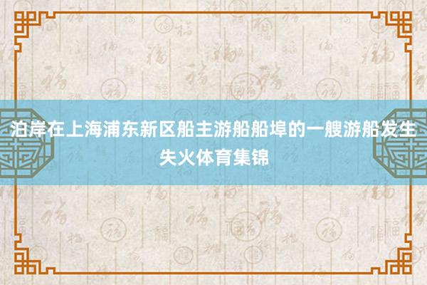 泊岸在上海浦东新区船主游船船埠的一艘游船发生失火体育集锦