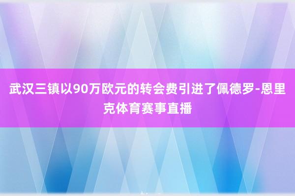 武汉三镇以90万欧元的转会费引进了佩德罗-恩里克体育赛事直播