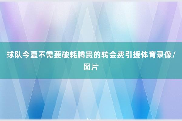 球队今夏不需要破耗腾贵的转会费引援体育录像/图片