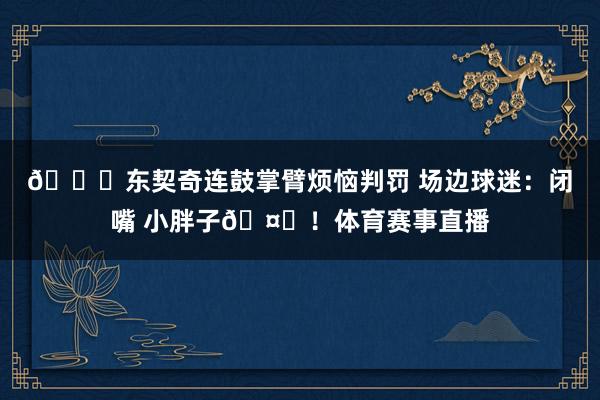 👀东契奇连鼓掌臂烦恼判罚 场边球迷：闭嘴 小胖子🤐！体育赛事直播